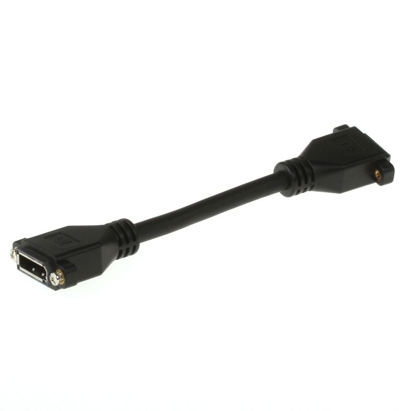 Adaptateur de montage DisplayPort, solution câble, 20cm